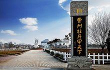 菏泽牡丹园景点 菏泽牡丹园景点